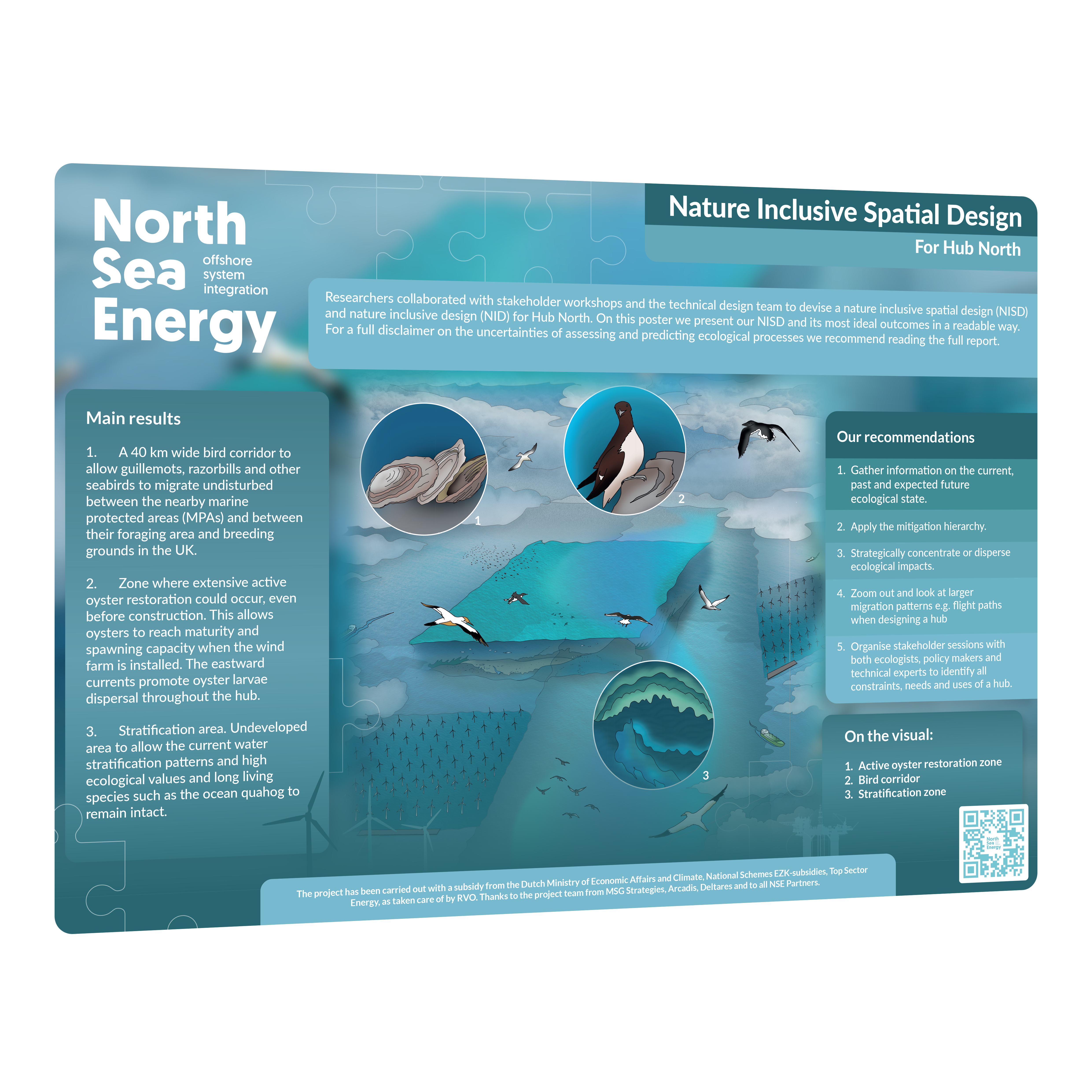 Infographic – Ecology and Energy Explained