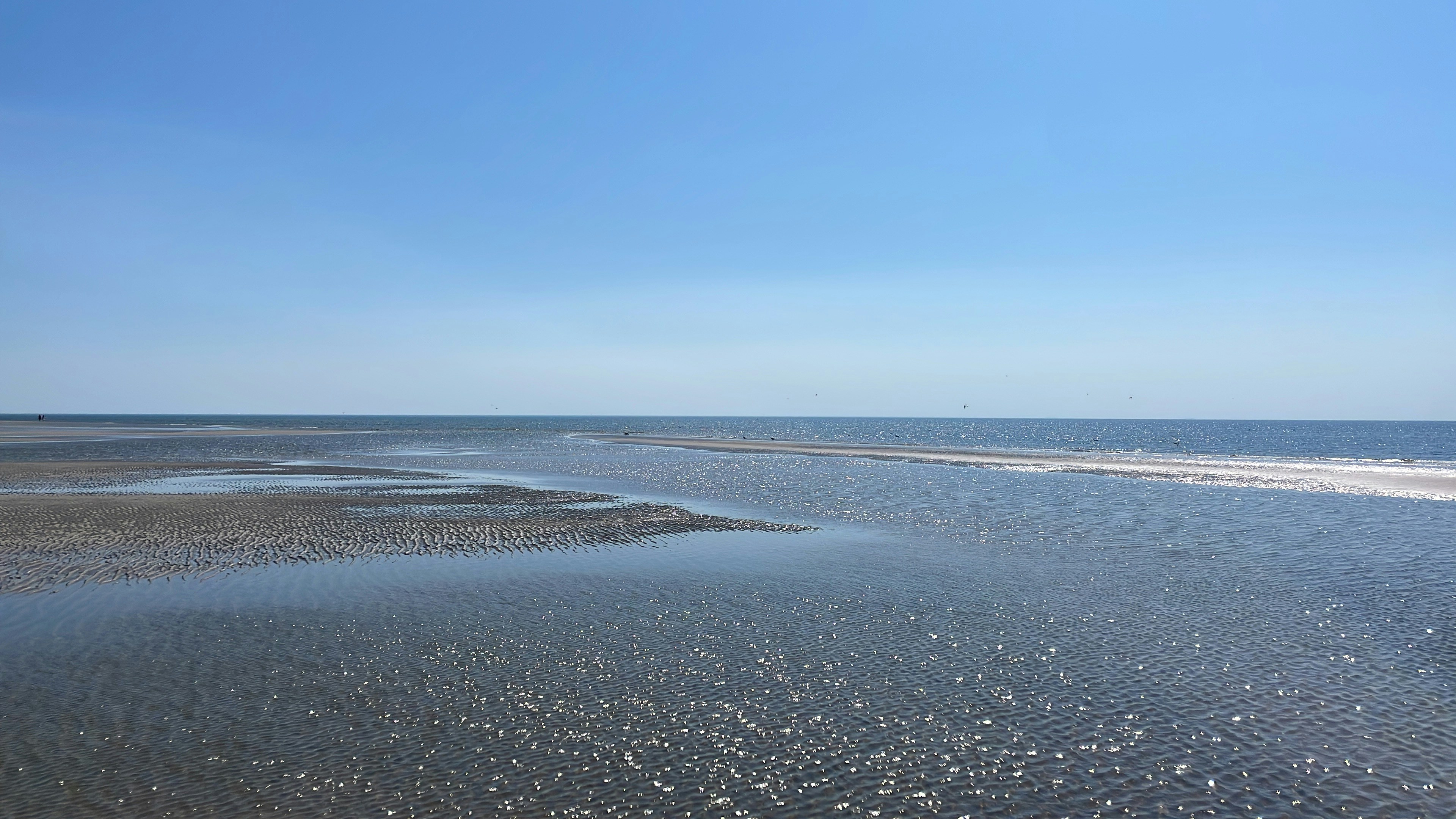 Coast
